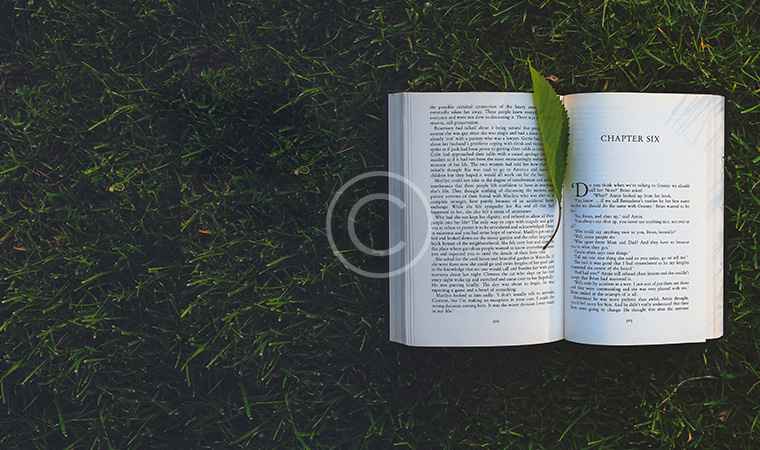 Bookfair