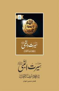Alternative view of Khutbat E Seerat Un Nabi (SAW) By Allama Peer Muhammad Saqib Mustafia<br>   خطباتِ سیرت النبیﷺ از مولانا رضا ثاقب مصطفائی