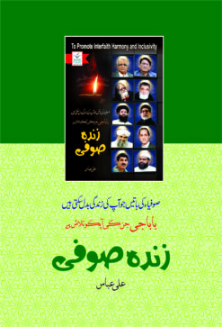 Alternative view of Zinda Sufi<br> زندہ صوفی