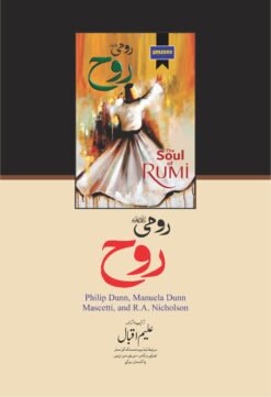 Alternative view of The Soul of Rumi <br>   رومی ؒ روح