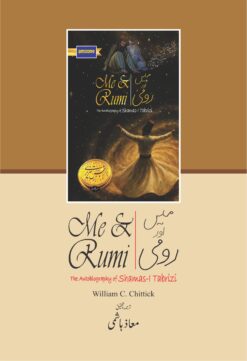 Alternative view of Me & Rumi <br>   میں اور رومیؒ